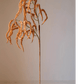 Artificial Amaranth Stem 23.6" Tall