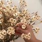 Autumn Daisy Spray – 21"