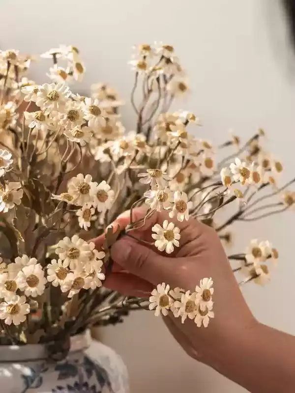 Autumn Daisy Spray – 21"