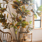 Large Leaf Artificial Croton Tree In Pot
