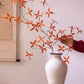 Autumn Pomegranate Leaf Stem