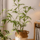 Artificial Bamboo Leaves in Pot