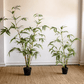 Artificial Bamboo Leaves in Pot