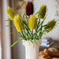 Faux Banksia Integrifolia Faux Flower 28" Tall Silk