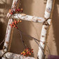 White Birch Wood Decorative Ladder