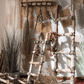 White Birch Wood Decorative Ladder