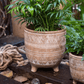 Bohemian Red Clay Planter