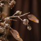 Brown Faux Pod Branch with Leaves 43" Tall