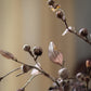 Brown Faux Pod Branch with Leaves 43" Tall