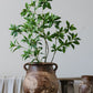 Restoration Brown Clay Pot