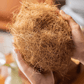 Coconut Fiber Pot Soil Surface Decoration Padding Material Set of 3