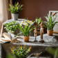 Faux Daffodil in Brown Pot