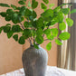 Artificial Faux Large Dans Leaf Stem Plant