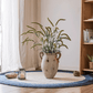 Three-Headed Dogtail Grass Stem 39" Tall