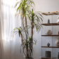 Artificial Dracaena Tree
