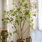 Artificial Japanese Enkianthus Tree Faux