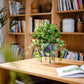 Faux Epipremnum in Metal Pot