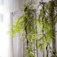 Artificial Ferns Vine Stem 39" Long