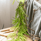 Artificial Ferns Vine Stem 39" Long