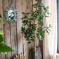 Artificial Silk Fig Tree In Pot
