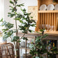Artificial Silk Fig Tree In Pot