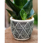 Geometric Art Concrete Flower Pot