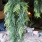 Faux Artificial Asparagus Setaceus Hanging Fern Plant