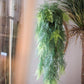 Faux Artificial Asparagus Setaceus Hanging Fern Plant