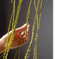 Artificial Vine Hanging Thin Succulent Stem