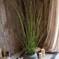 Artificial Faux Rough Horsetail Plant Long Stem 54" Tall