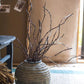 Ikebana Twig Branch