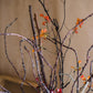 Ikebana Twig Branch