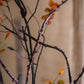 Ikebana Twig Branch