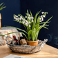 Faux Lily of the Valley in Brown Pot
