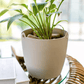 Modern Resin Hanging Planter for Artificial Plants