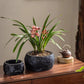 Mesa Cement Pot Planter