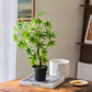 Mini Faux Potted Green Plant