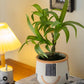 Mini Faux Potted Green Plant