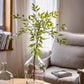 Green Nandina Leaf Stem