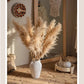 Natural Reed Stem 10 Stem Set 51" Tall