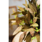 Artificial Oval Leaf Eucalyptus Stem Bundle in Brown 18" Tall Faux