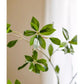 Faux Pieris Branch Stem