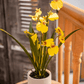 Potted Faux Dancing Lady Orchid
