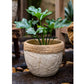 Rattan Pattern Edge Cement Planter