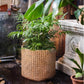 Rattan Texture Cement Planter