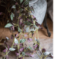 Artificial Small Leaf Vine 40" Long