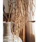 Tall Reed Branch Stem 29" Tall