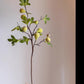 Wild Garden Faux Fig Stem 35.4" Tall