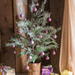 Cedar Fir Tree Snow Flocked Christmas Tree in Paper Wrapped Base