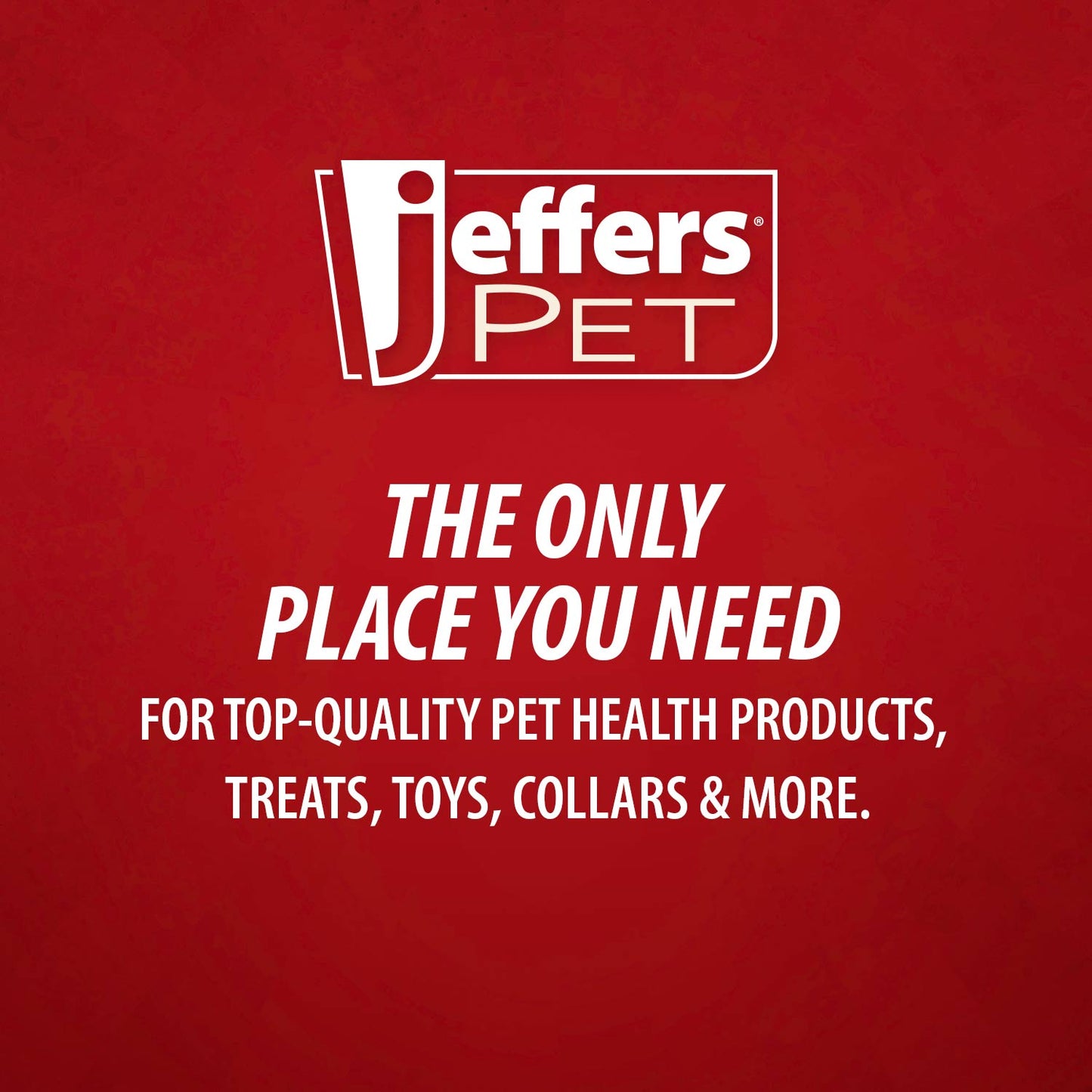 Jeffers Carrot Natural Rubber Treat Dispensing Dental Dog Chew Toy with Slit